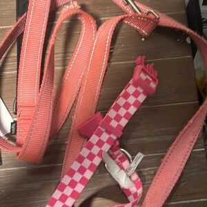 Leash & collar